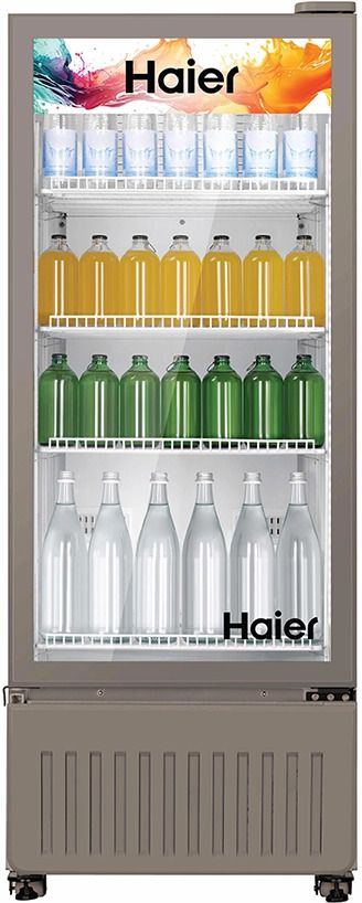 300 L Single Door Upright Freezer