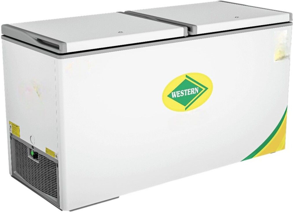 282 L Double Door Standard Deep Freezer-image-12