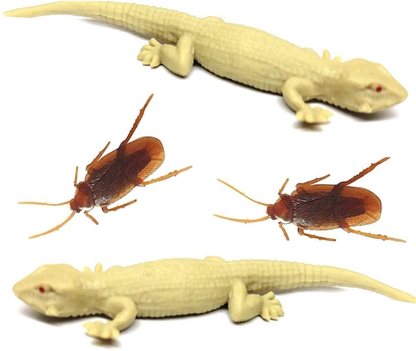 bbs deal lizard_1 Pack of 2/2 pcs cocroch/lizard dark color Gag Toy image 1