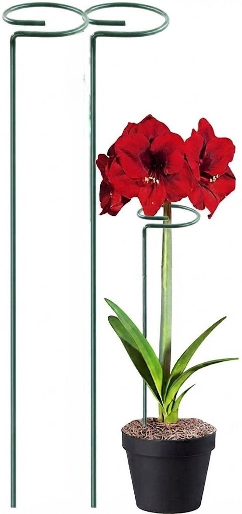 43.1 cm Iron Garden Stake-image-24
