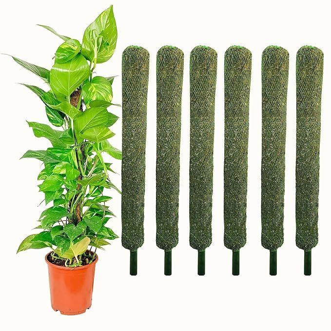 3 cm Plastic Illuminated Garden Stake
