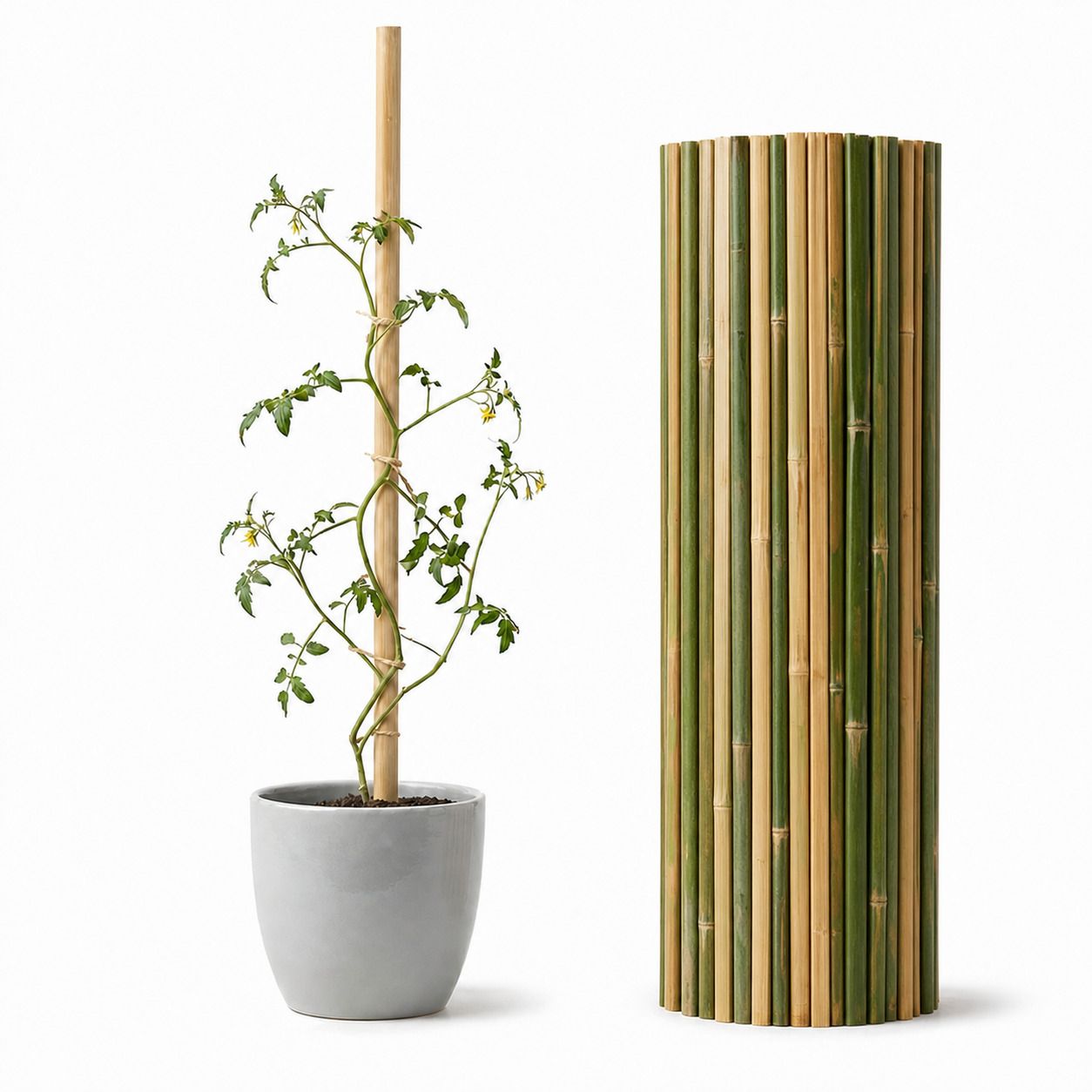 saokoh 68 cm Bamboo Garden Stake-picture-10