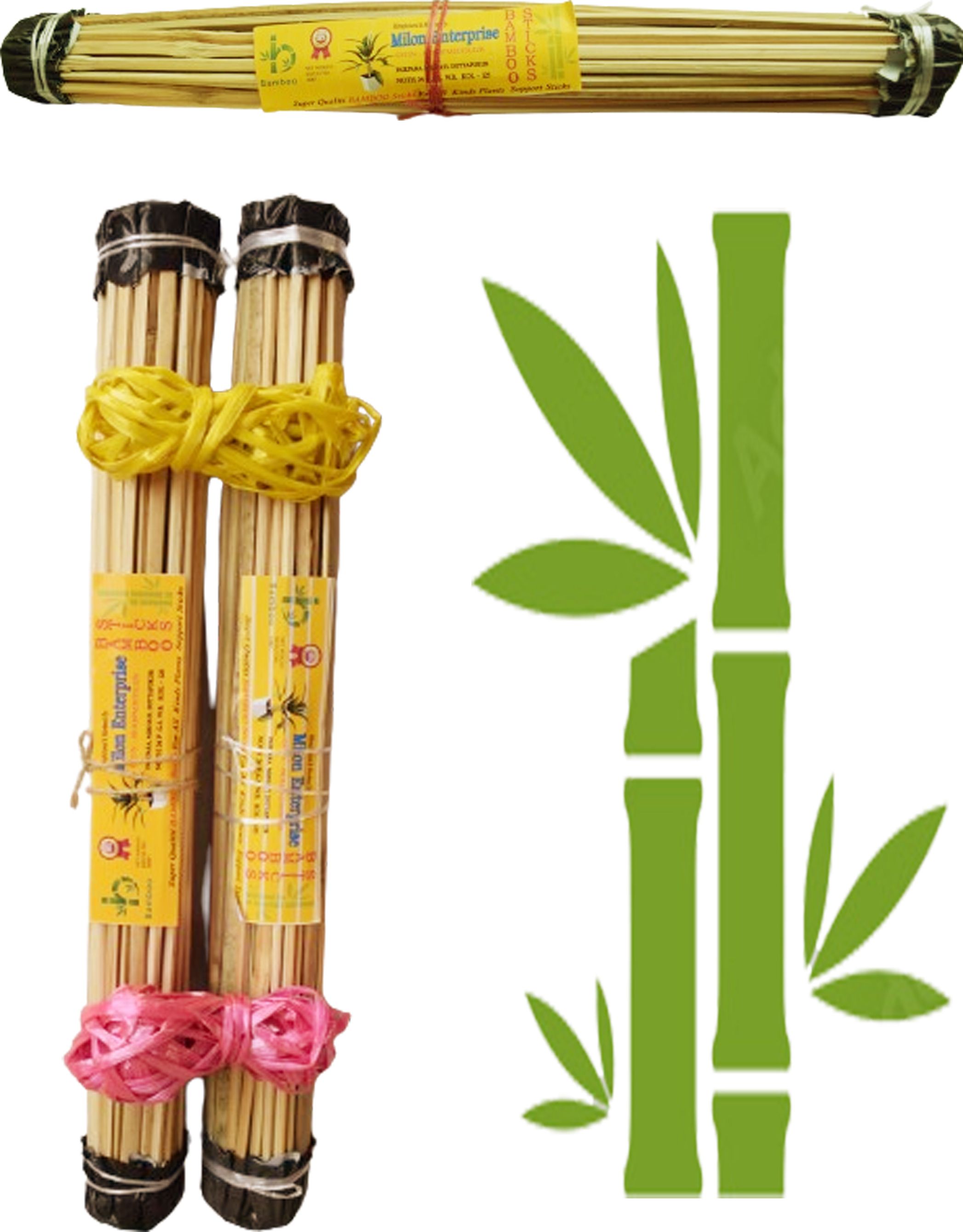 60 cm Bamboo Garden Stake