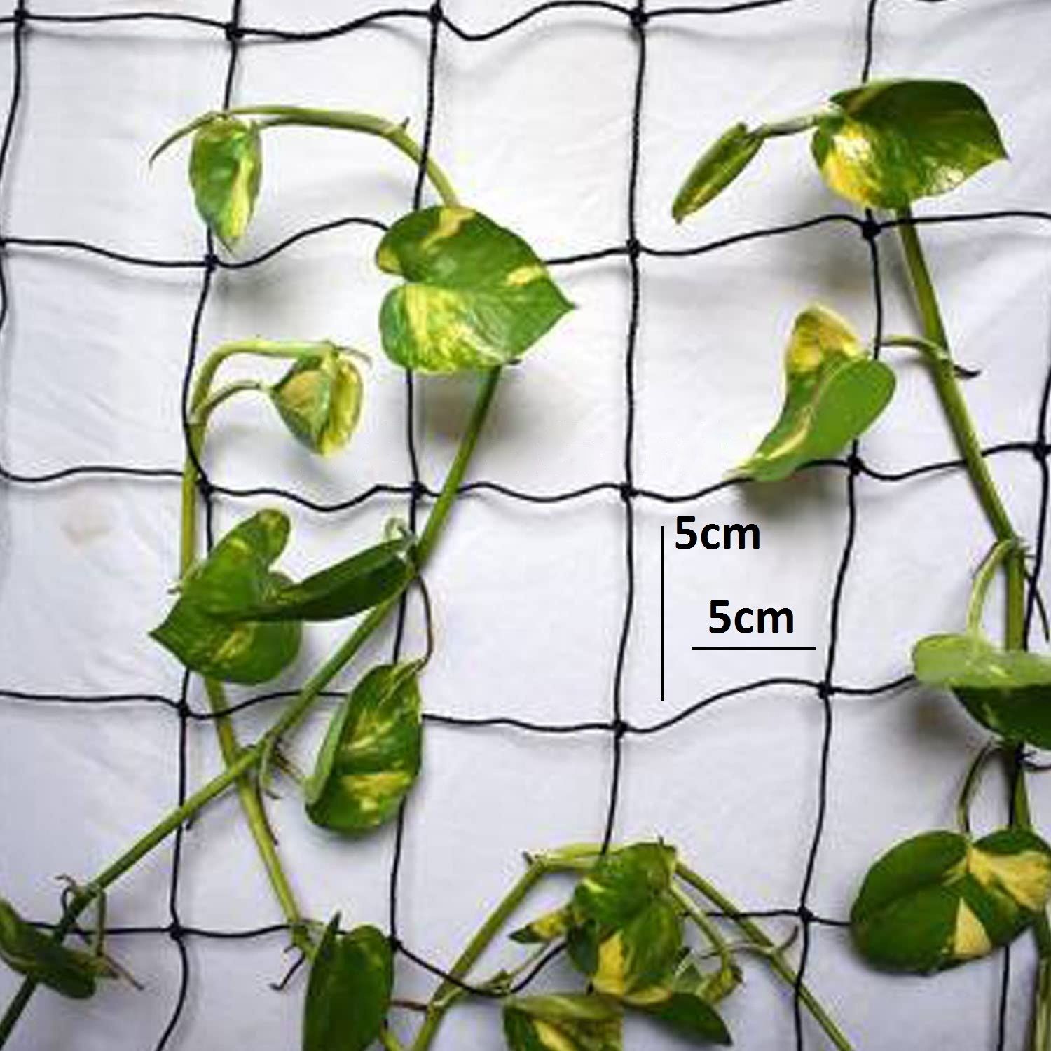 Plant Climbing Net 14.5Ft x 6Ft Black Creeper Support Gardening Netting Hiking Net