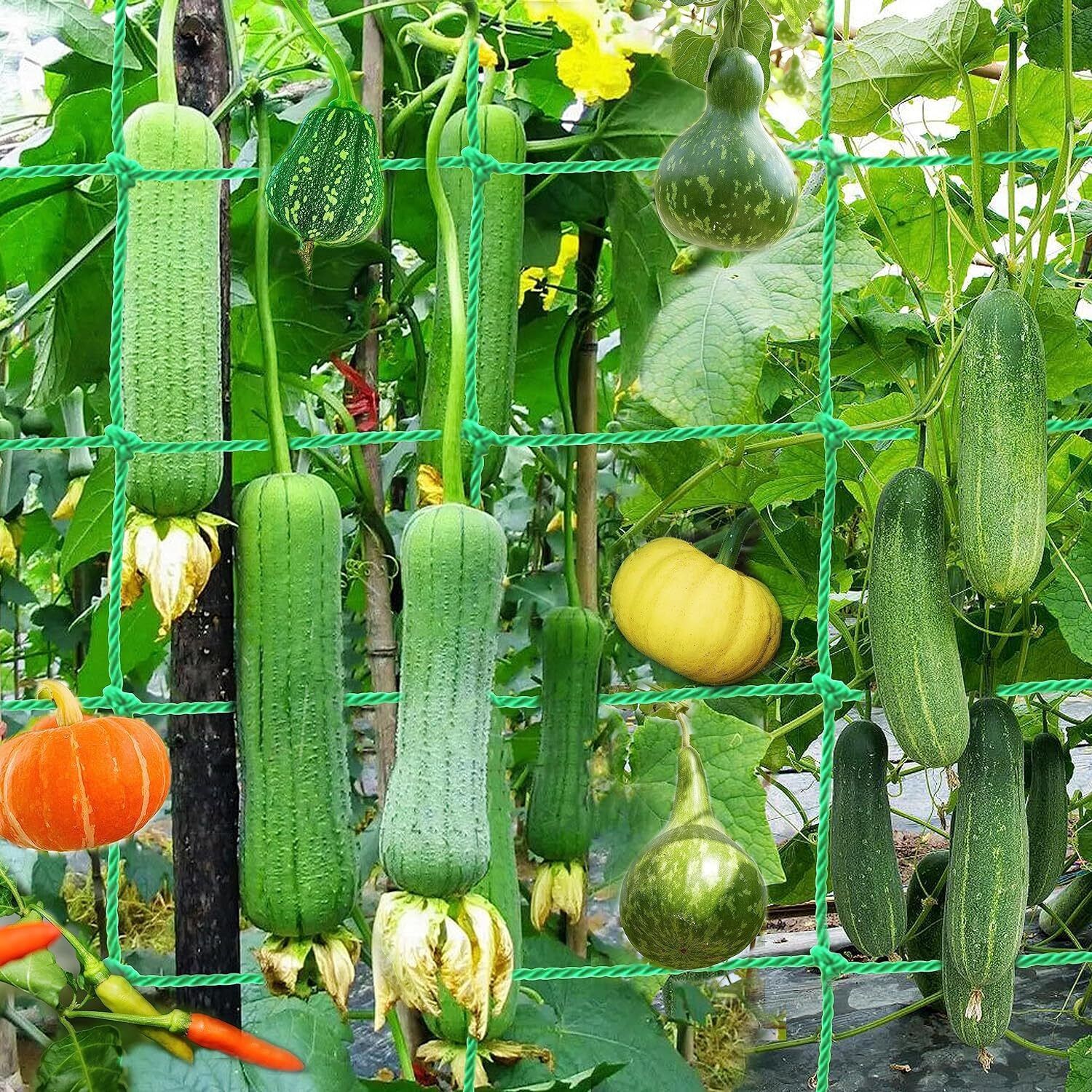 Plant Climbing Net & 15.5Ft x 6Ft Creeper Support Gardening Netting Green Colour Garden Tool Kit-image-29