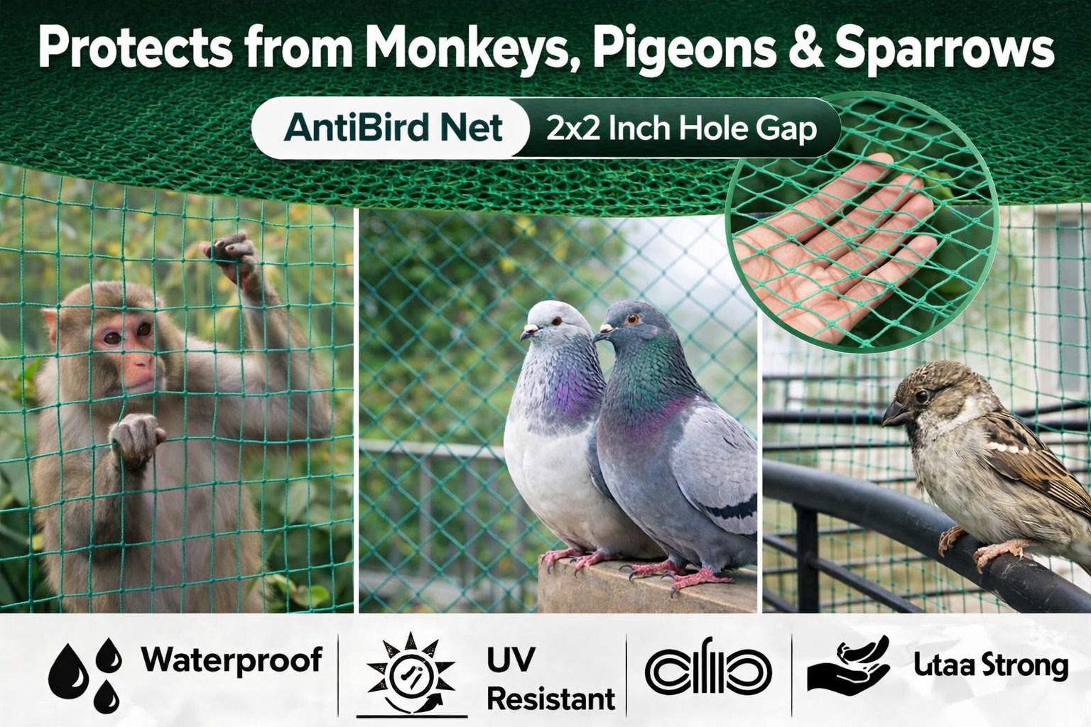 Anti Bird Net 10x20 Feet 18 Ply 2x2 Inch Mesh Heavy Duty Pigeon Protection Net Garden Tool Kit-image-1