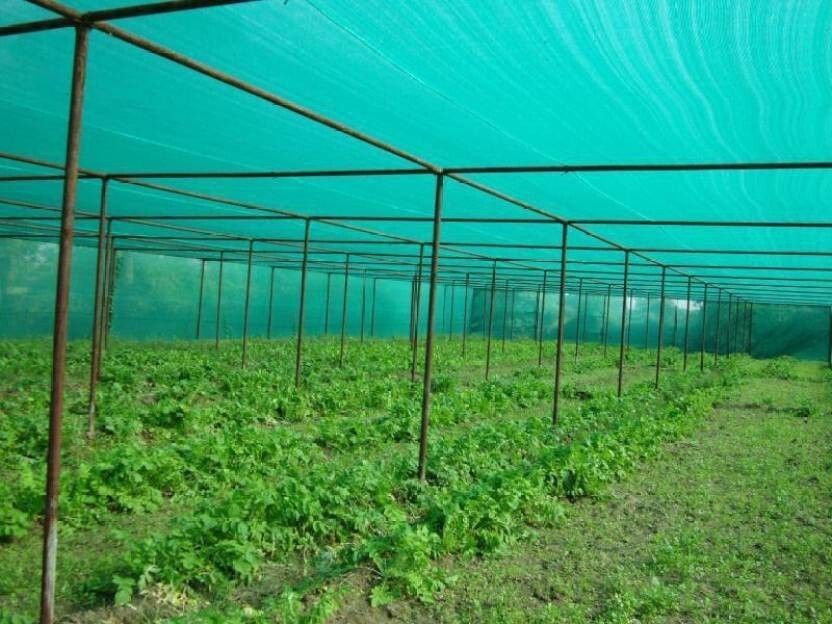Evergreen ! Agro Shade Net ! 75% Shade ! Greenhouse UV Stabilized Net ! (3m x 10m) Garden Tool Kit-image-27