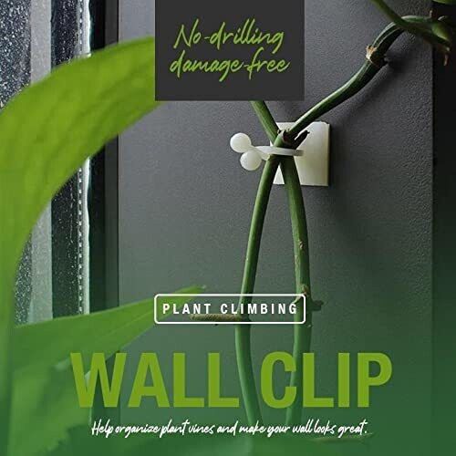 siddivinayak creation A_30 Pcs Money Plant Support Clips Self-Fixture Wall Vines Sticky Hook Garden Tool Kit-picture-17
