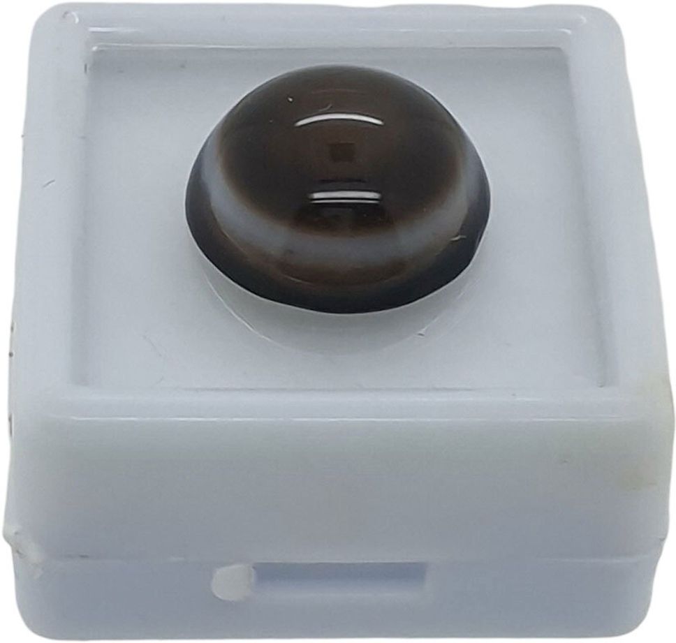 Sahiba Gems Brown, Black, White Cut Natural Agate Gemstone