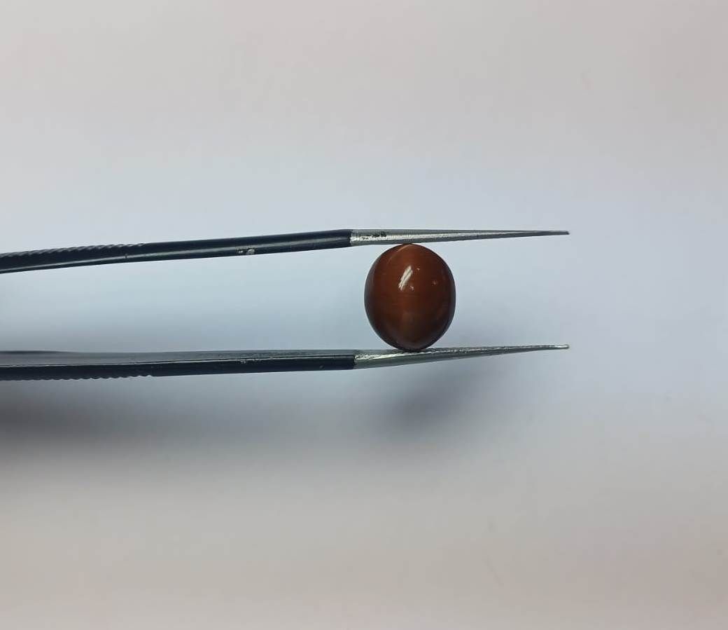 AMOGH JEWELS Brown Cut Natural Sapphire Cat's Eye Gemstone-image-43