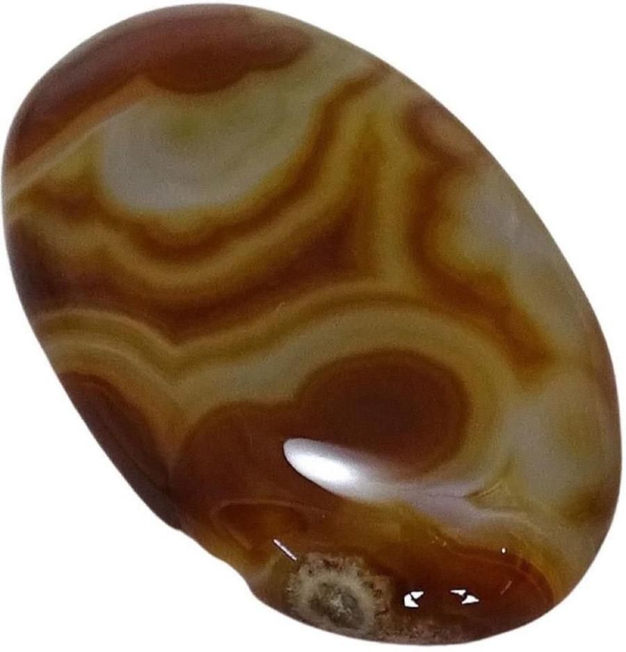 Sahiba Gems Orange, White Cut Natural Agate Gemstone-image-6