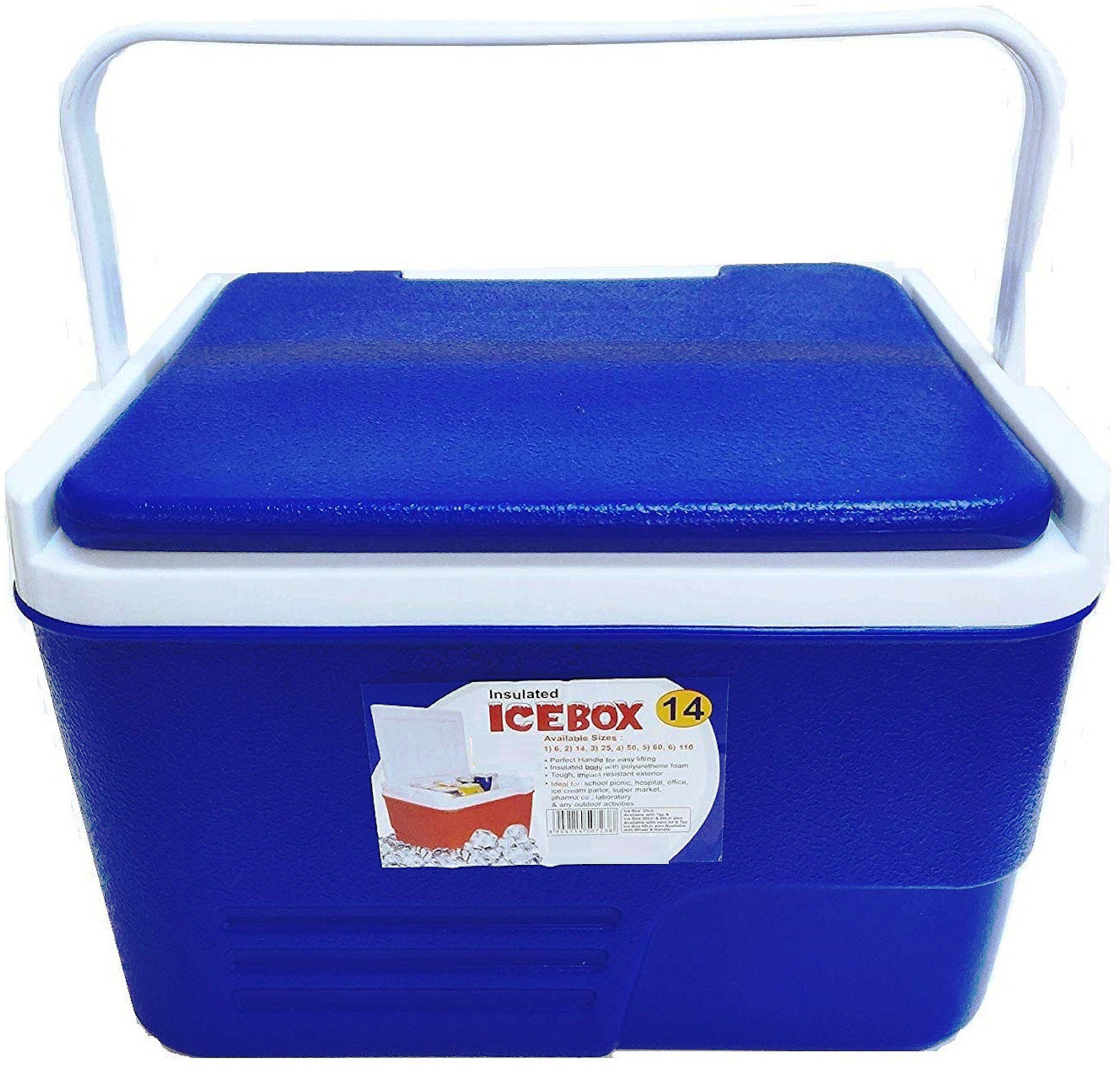 randal Multipurpose Insulated Chiller Ice Box ( Blue )-picture-11