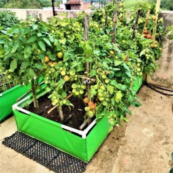 mashki gardening Grow Bag-picture-2