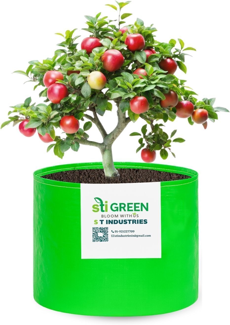 stigreen Grow Bag 18x24 Premium HDPE UV Protected Heavy Duty Grow Bag 260 GSM Grow Bag-picture-12