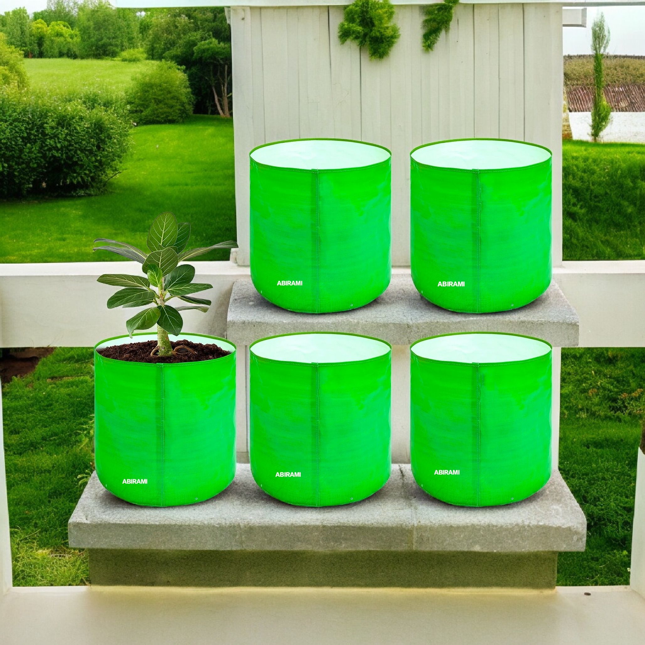 12x12 inch Handcrafted 5 pack Grow Bag-image-36