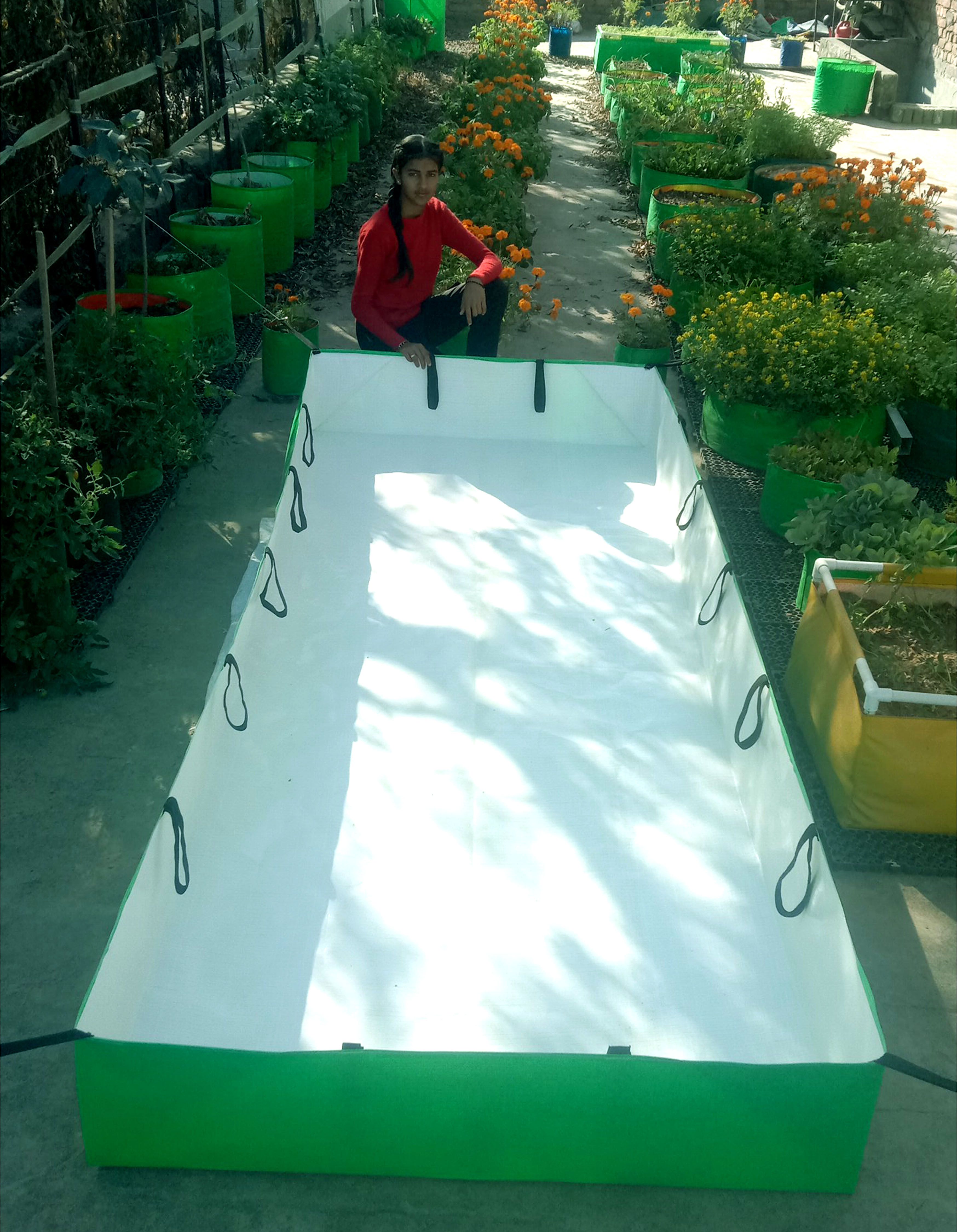 gardeco 450 GSM HDPE Fabric Azolla Growing Bed/Cultivation Bed 8ft x 4ft x 1ft Grow Bag-picture-25