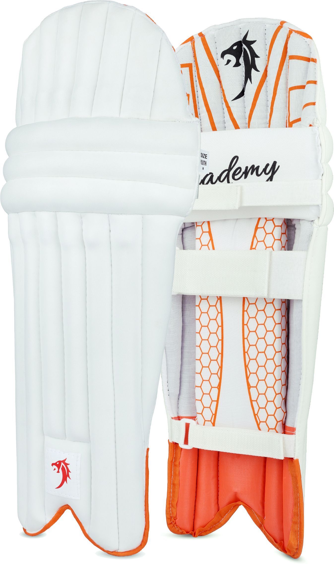 Cricket Batting Legguard Pads For Extra Small Boys 7 to 8 Years Cricket Guard Combo-image-34