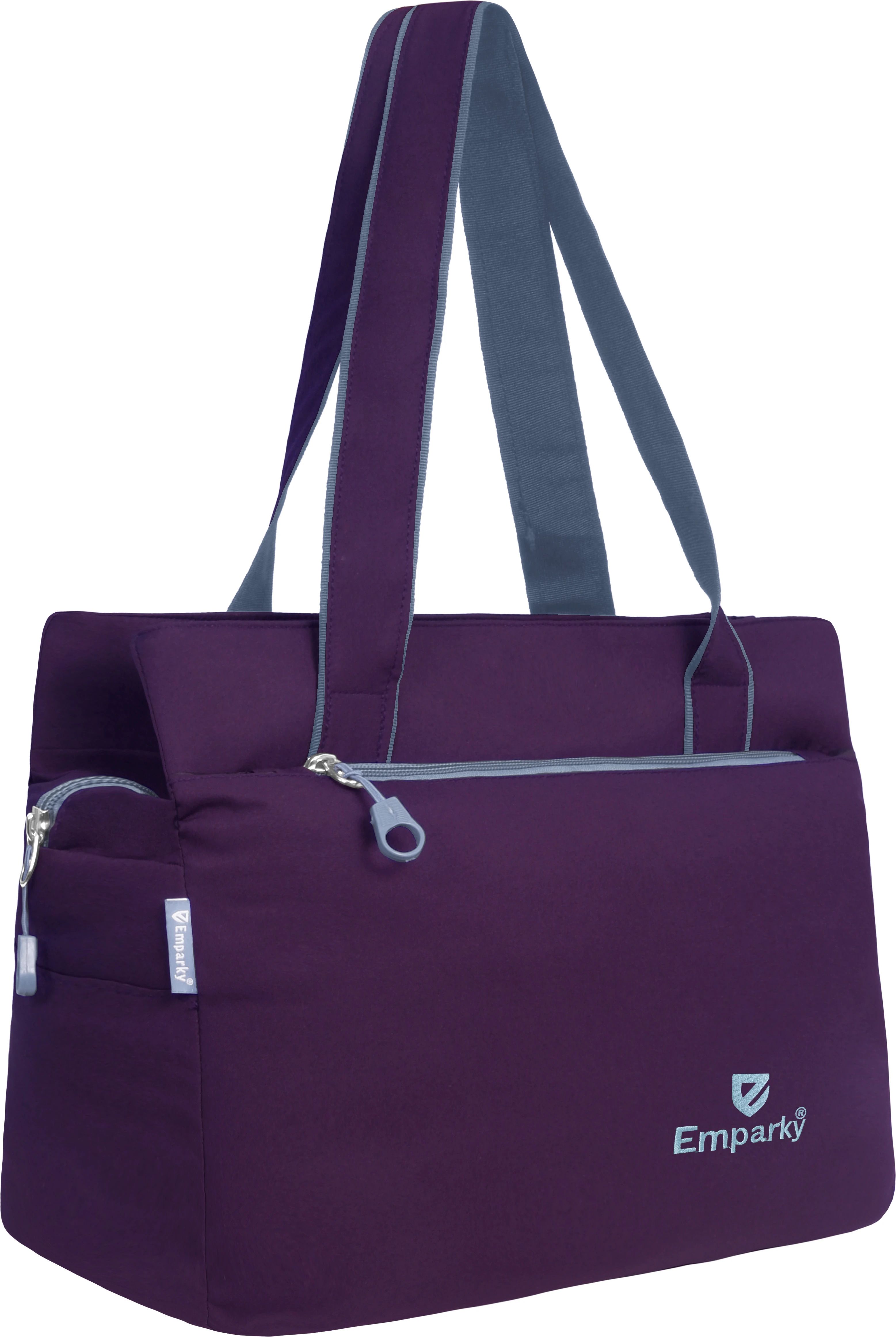 Women Purple Messenger Bag