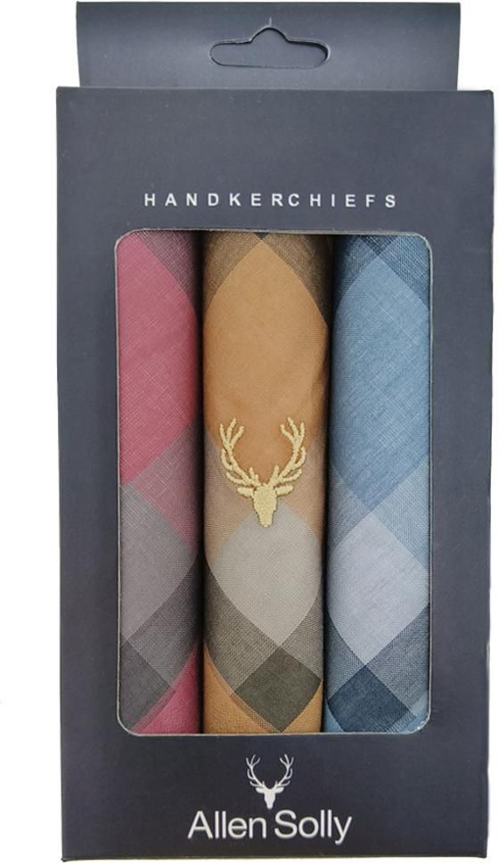 Allen Solly Men's Handkerchief ["Maroon, Khaki & Blue"] Handkerchief-picture-15