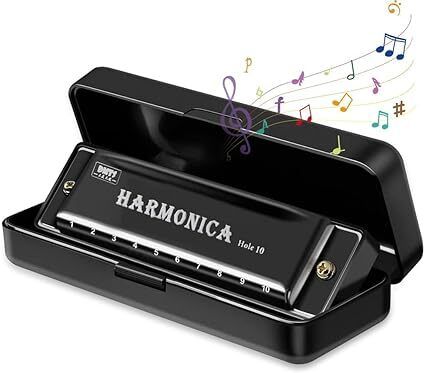 naksht Harmonica Mouth Organ Musical Instrument-picture-21
