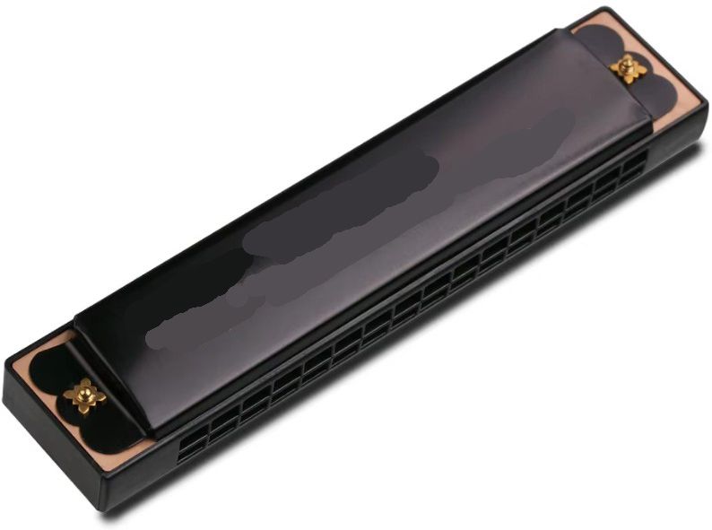 maga mart MM10 Mouth Organ 24 Notes Harmonica, Key of C Major for Beginner, Adults, Kids-picture-24