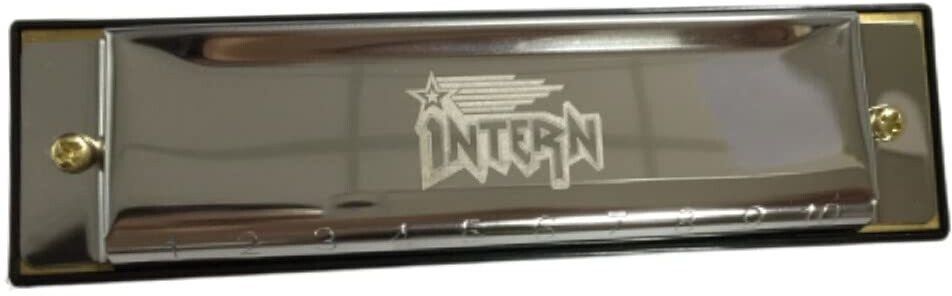 intern Mouth Organ Key C 10 Holes Diatonic Harmonica Professionals and Beginners-picture-29