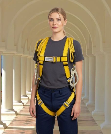 Premium Safety Harness SH-1015 Full Body Harness-image-33