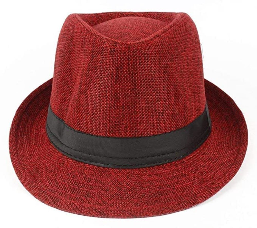 linkin fashion fedora hat-picture-19