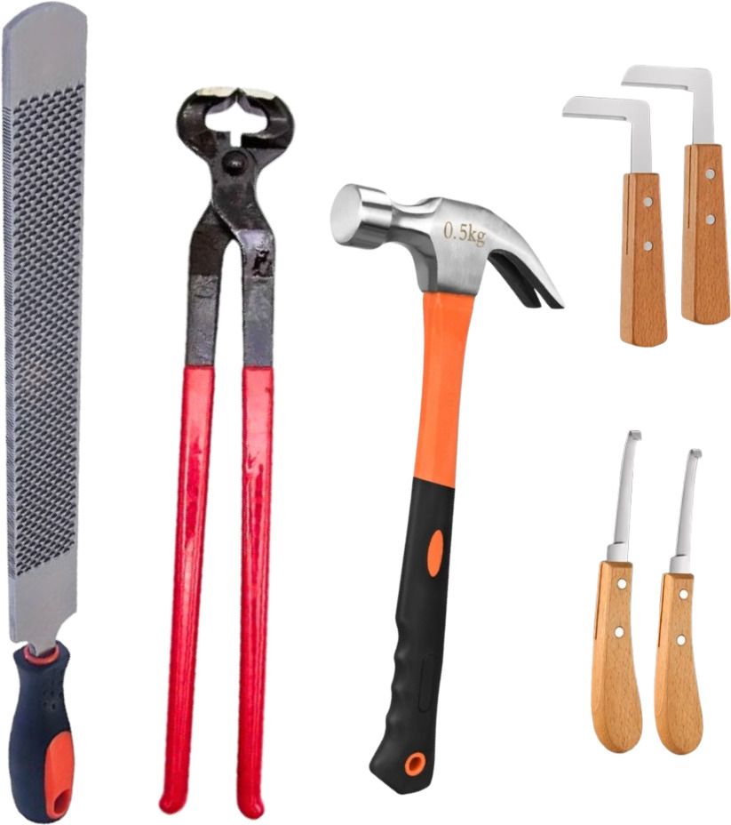 Professional Horse Hoof Care Tool Kit – Combo Pack of 4 | Farrier & Equine Tools Horse Hoof Care Kit
