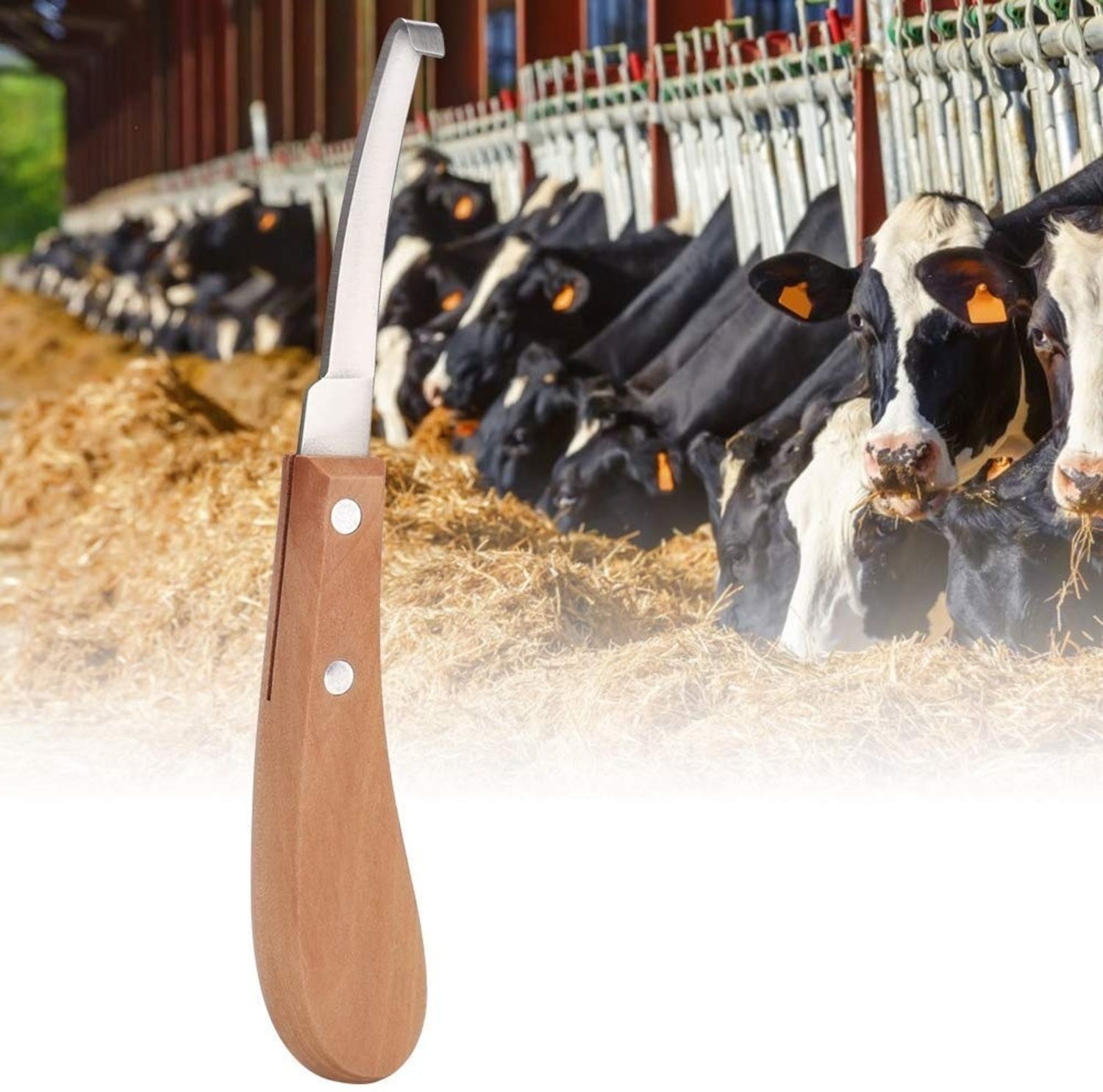 Double-Sided Hoof Knife for Cow, Goat, Horse & Sheep Horse Hoof Care Kit