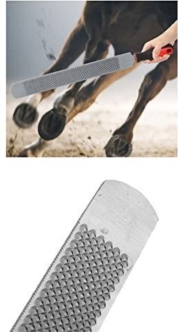 Horse Equine Teeth Dental Float Rasp Veterinary Tool Steel Equipment Horse Hoof Care Kit