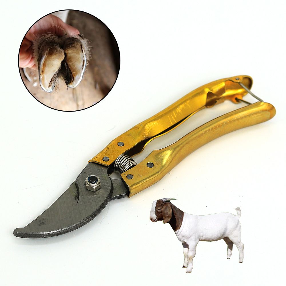 Goat and Sheep Hoof Trimmer Shears Nail and Hooves Trimming Clippers Horse Hoof Care Kit