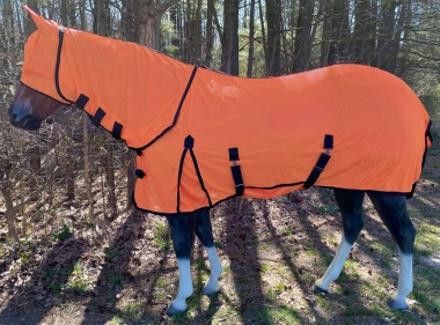 Horse Sheet
