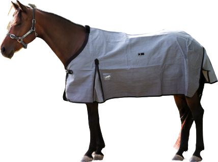 Horse Blanket