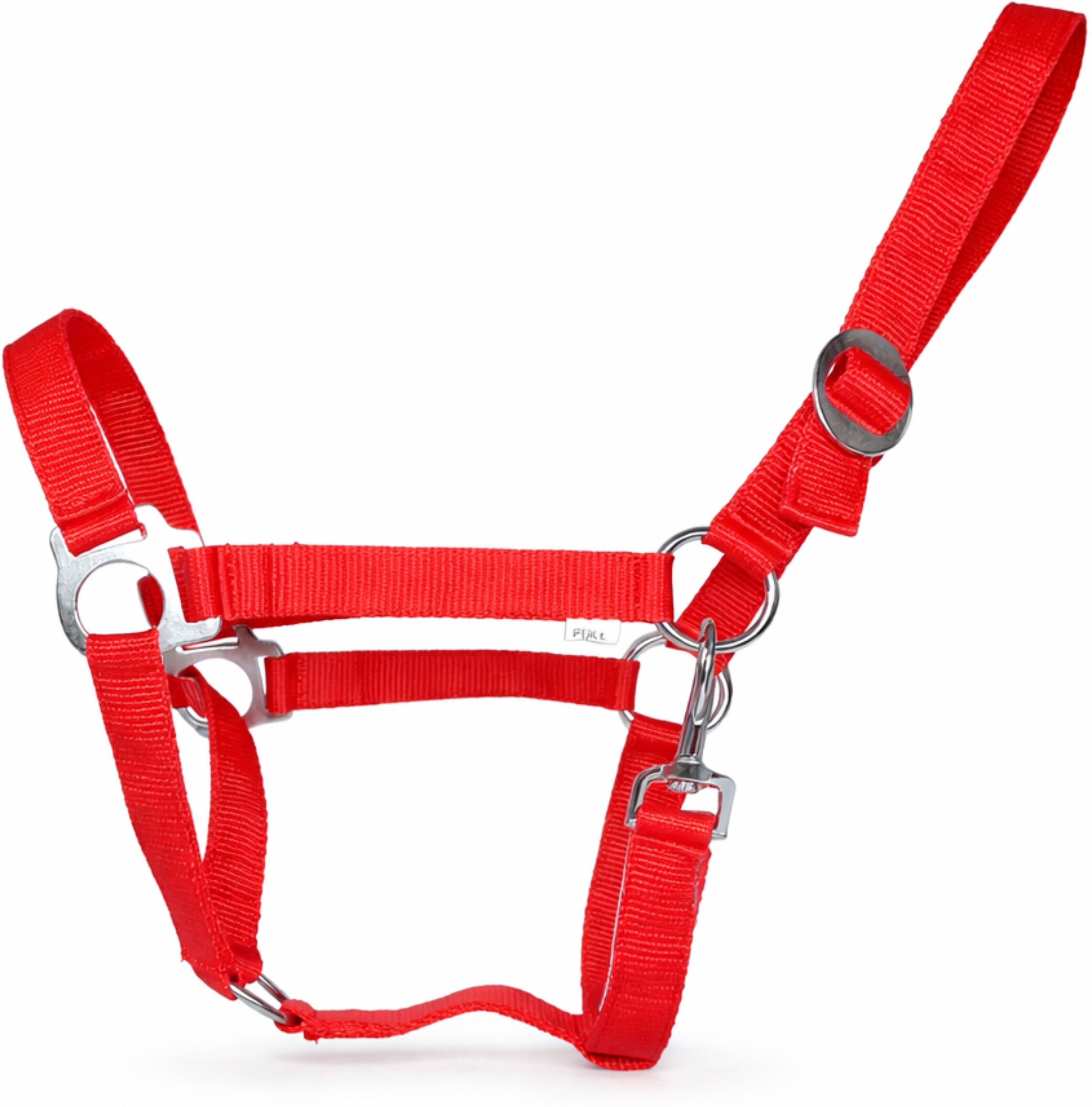 Halter Horse Bridle-image-49