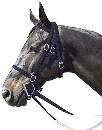 Harness Horse Bridle