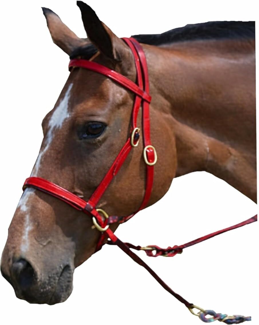 Snaffle Horse Bridle-image-26