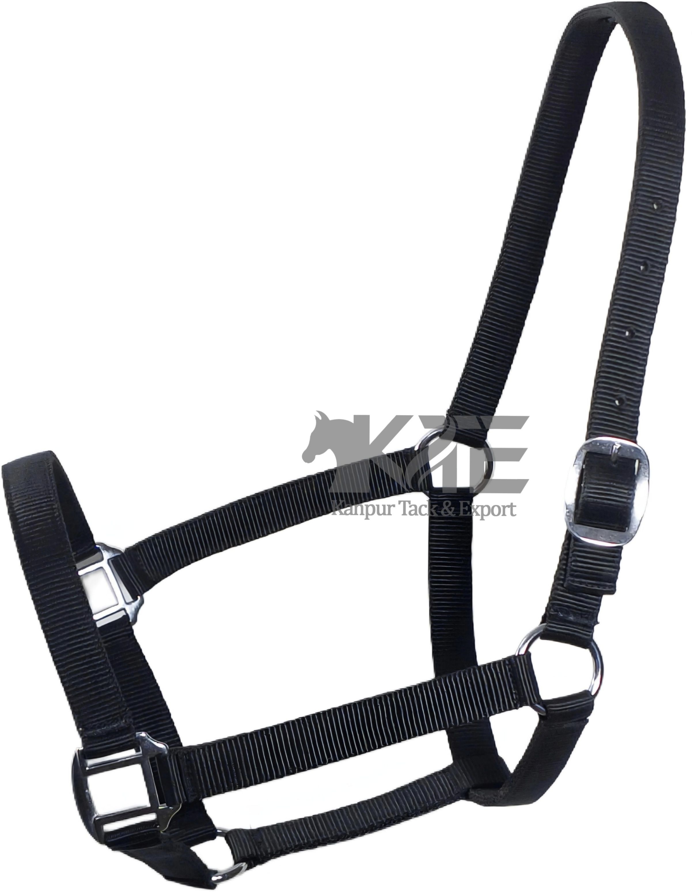 kte Halter Horse Bridle-picture-22