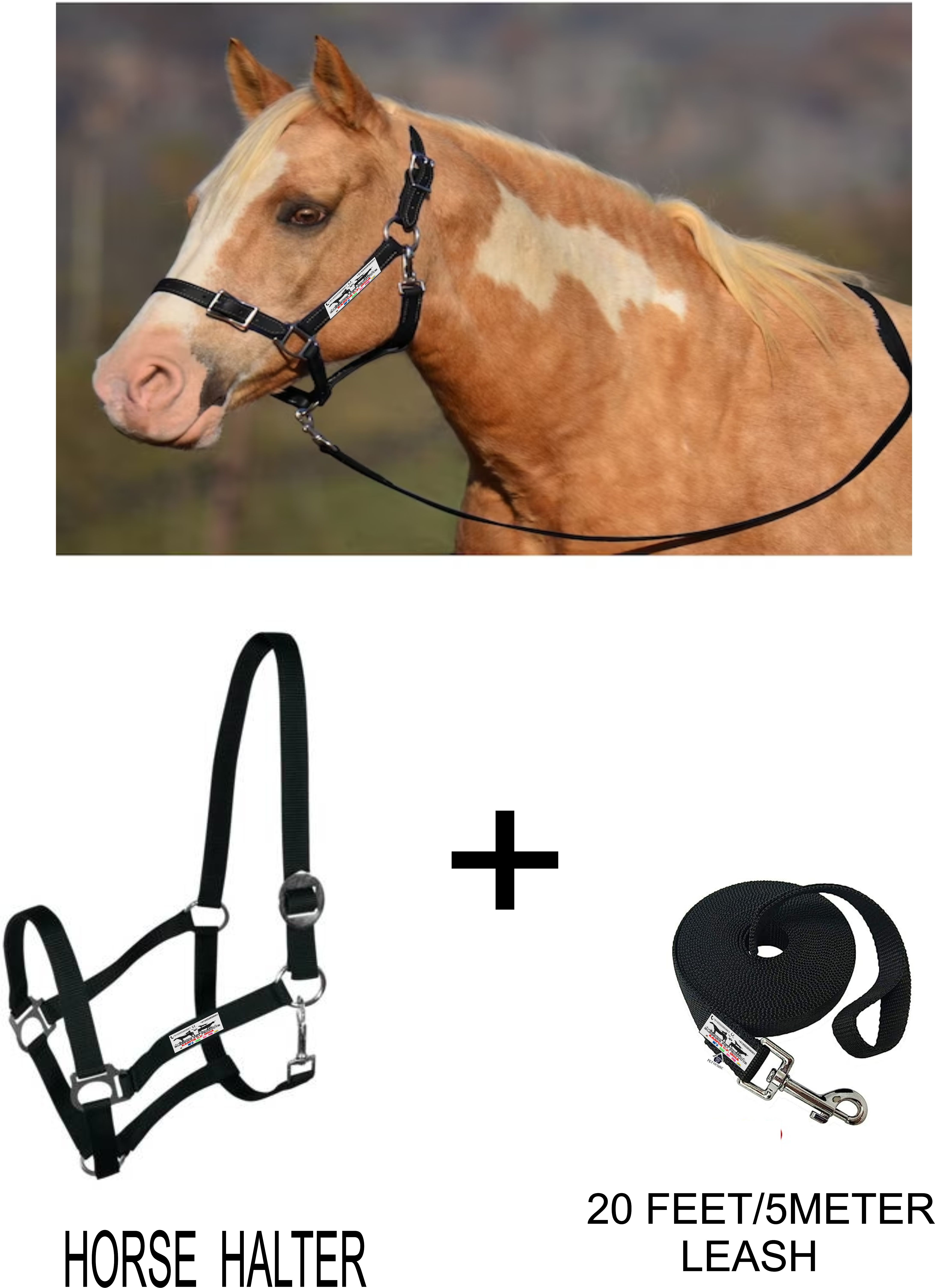 Halter Horse Bridle