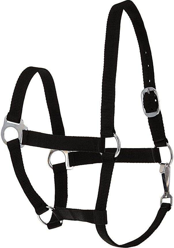Halter Horse Bridle
