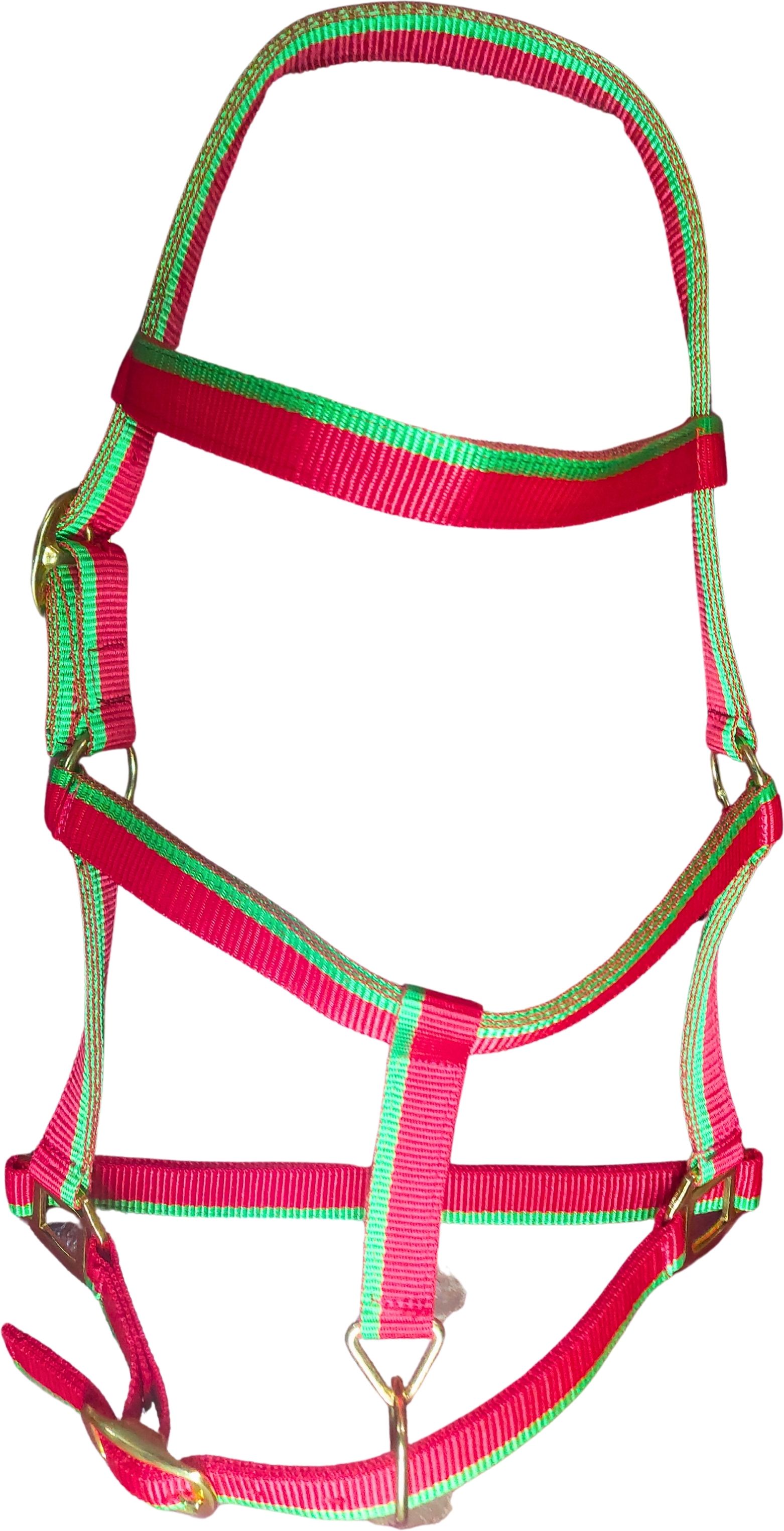 Halter Horse Bridle