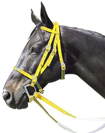 Harness Horse Bridle