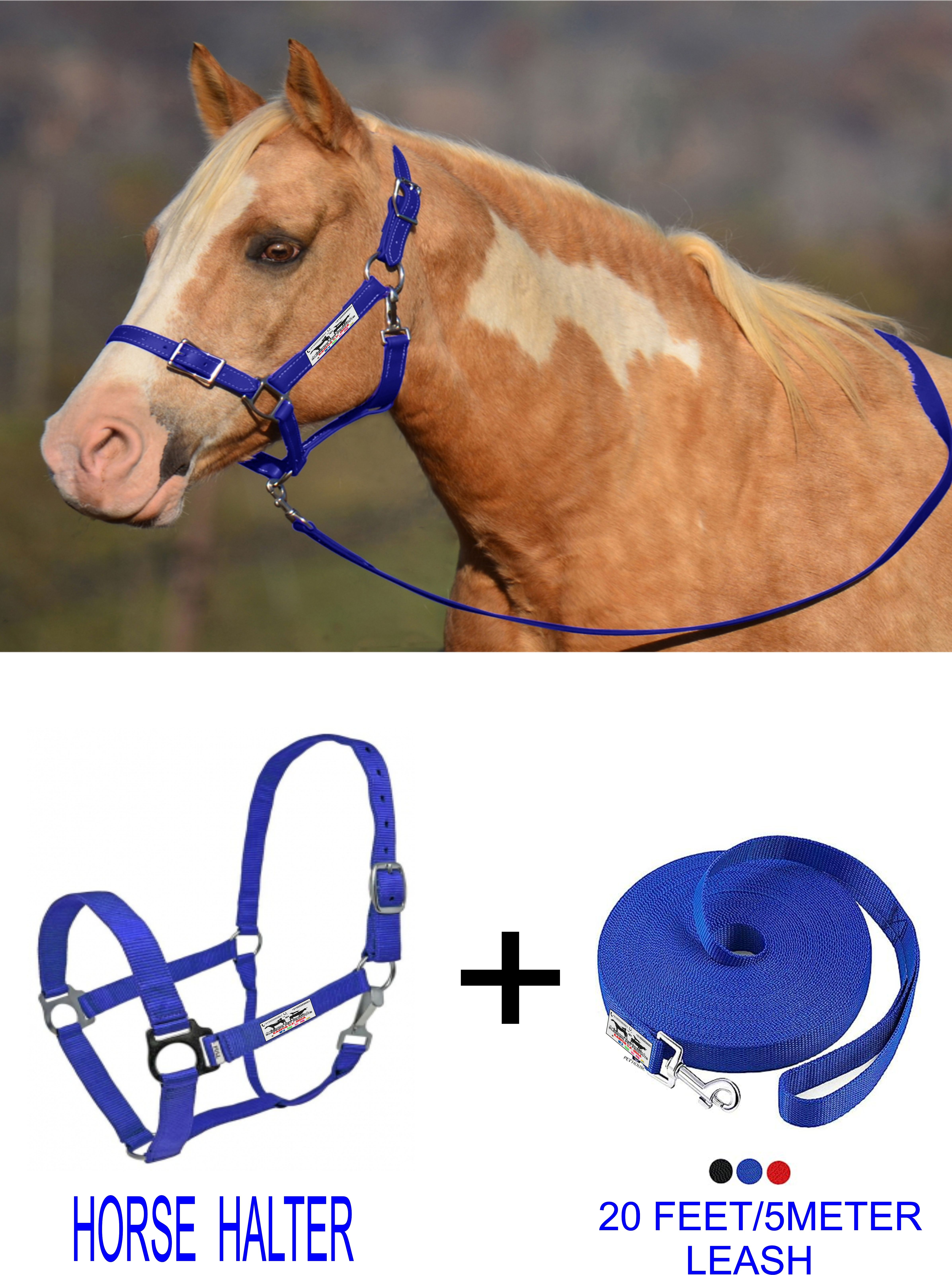 Halter Horse Bridle