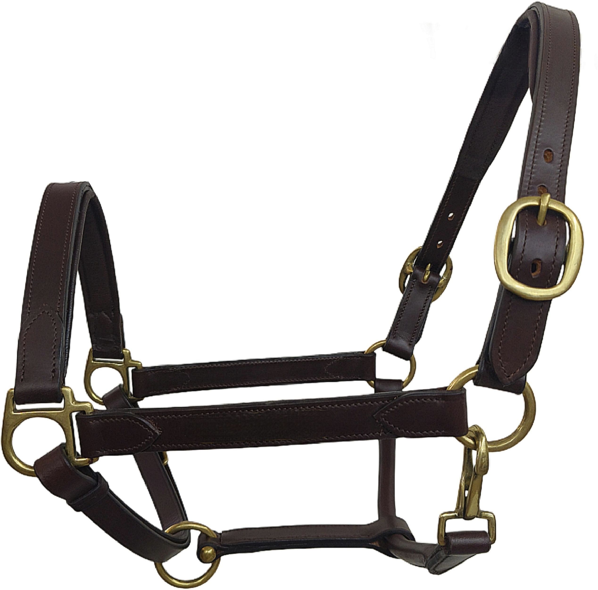 kte Halter Horse Bridle-picture-17