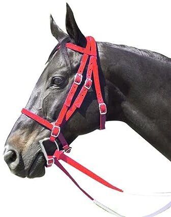 Harness Horse Bridle