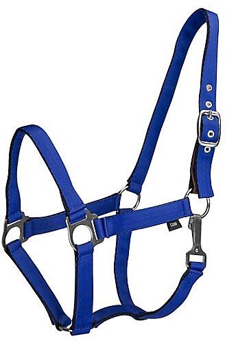 Halter Horse Bridle