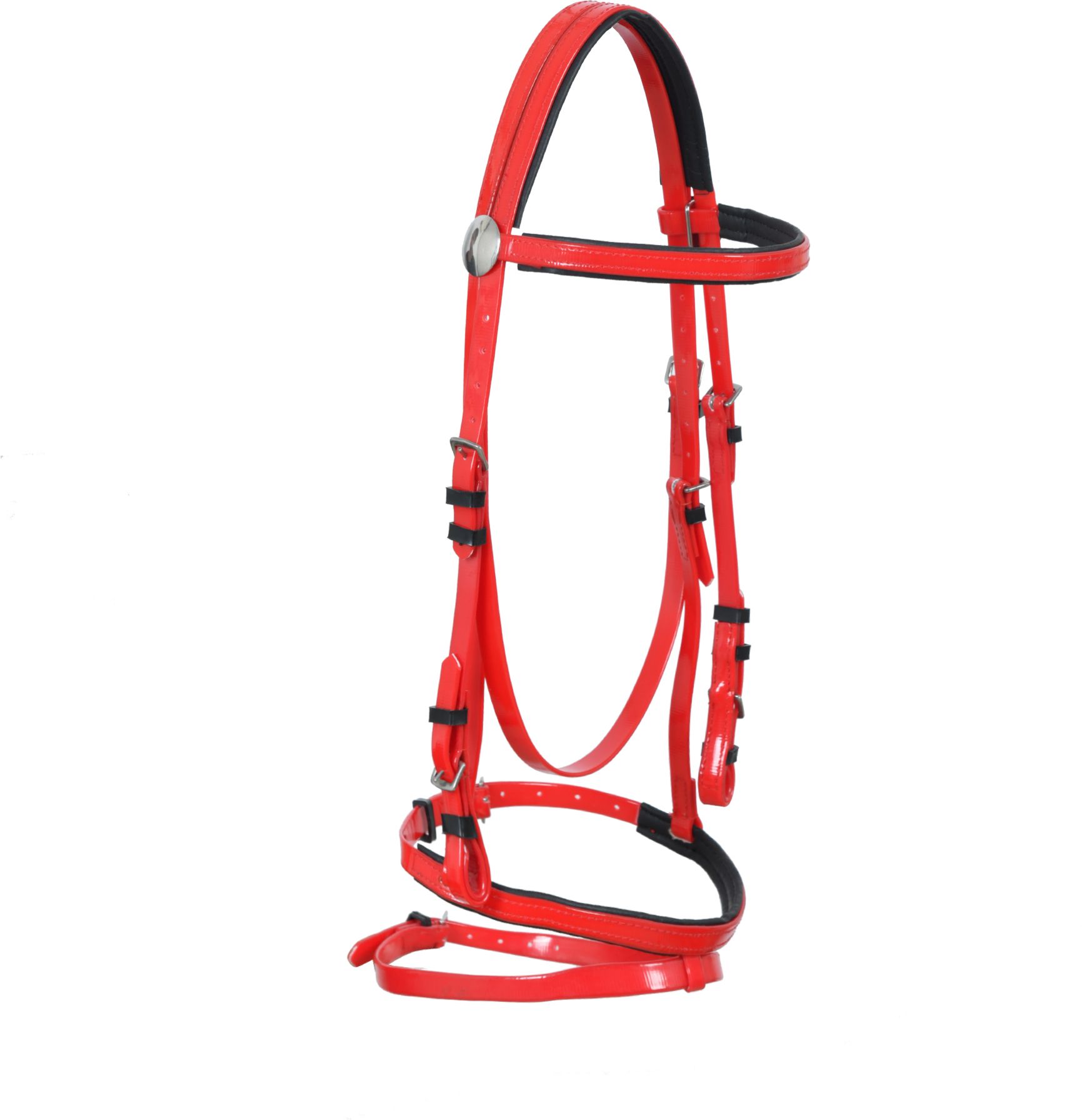 Snaffle Horse Bridle