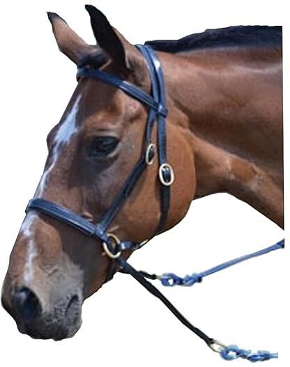 Snaffle Horse Bridle