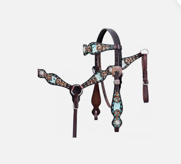 trident international Hackamore Horse Bridle-picture-17