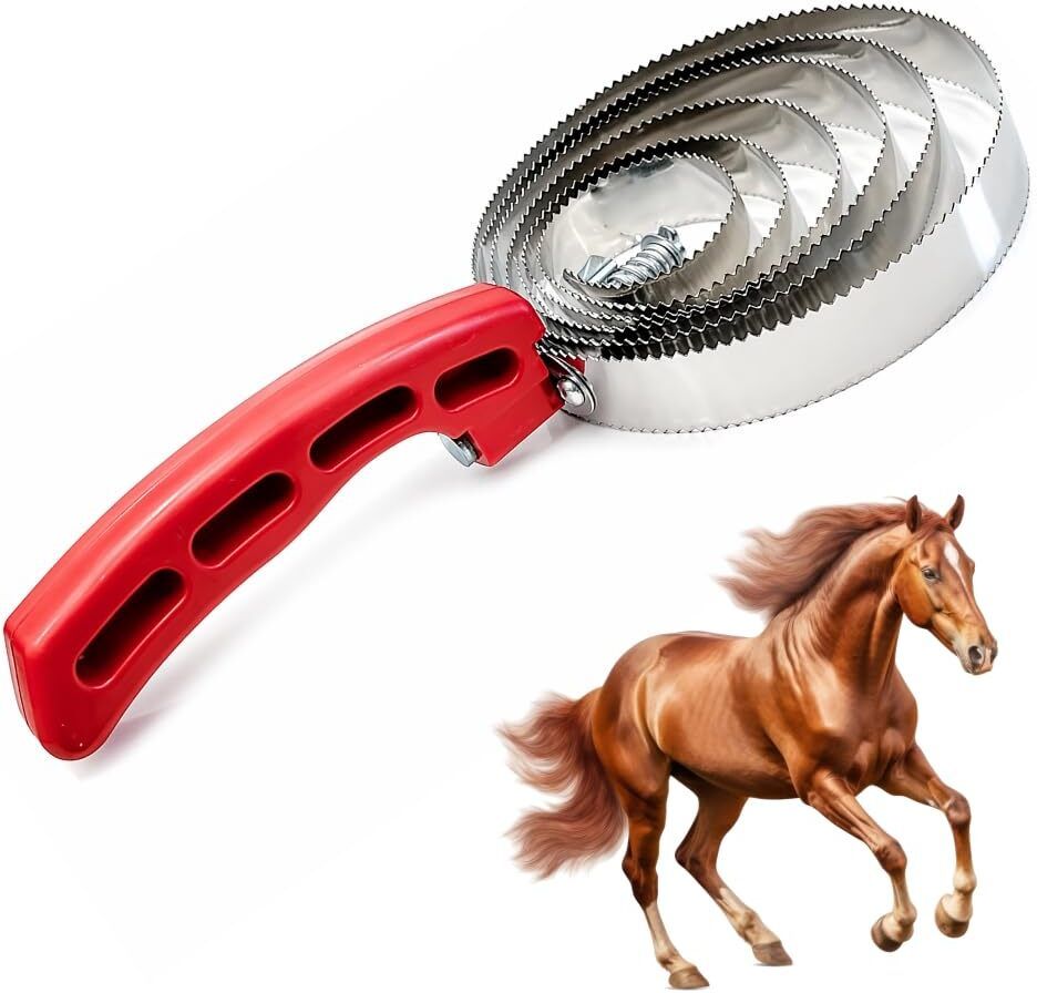 bethlehem Horse Grooming Kit-picture-12